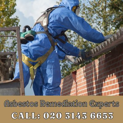 Asbestos Remediation Experts Upper Edmonton