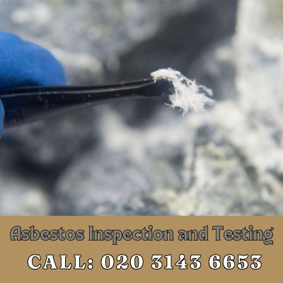 Comprehensive Asbestos Inspection and Testing Services in Upper Edmonton